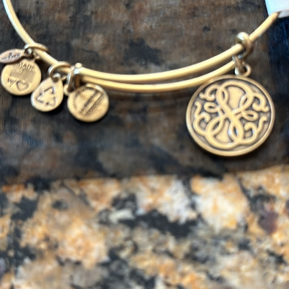 Alex and Ani ❤️ Energy Bangle Charm Bracelet~NWT - Picture 4 of 5